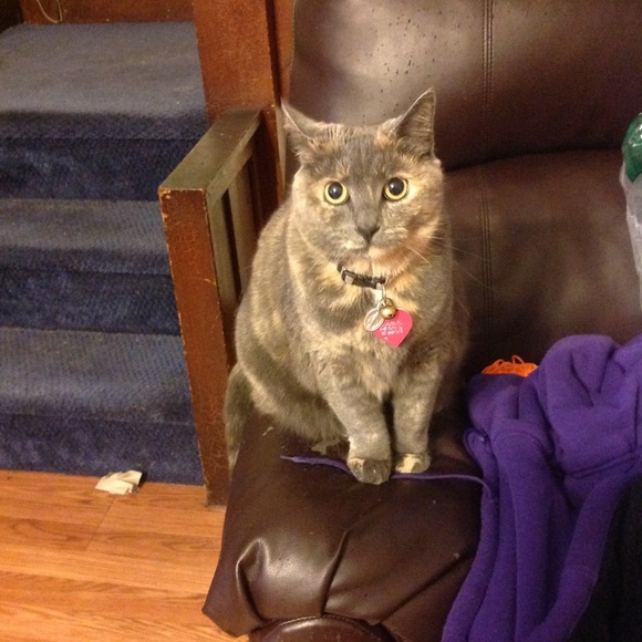 ๐๐๐LULUโS BIRTHDAY BUNDLE!!!๐๐๐ - Picture 5 of 8